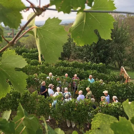 Merumalia Wine