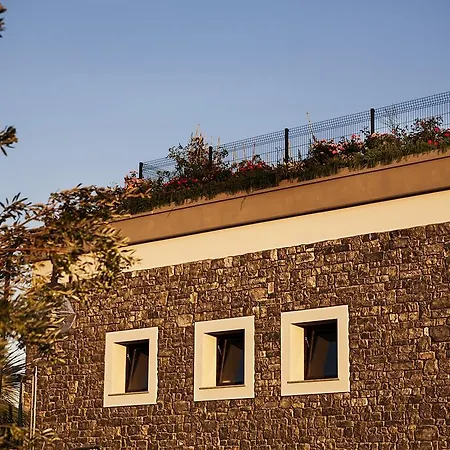 Alloggio per agriturismo Merumalia Wine *