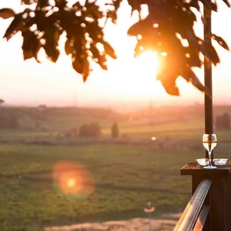 Merumalia Wine Frascati
