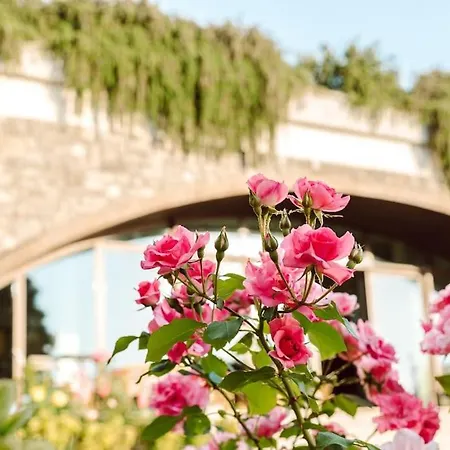 Alloggio per agriturismo Merumalia Wine *