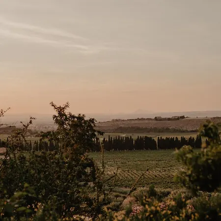 Alloggio per agriturismo Merumalia Wine