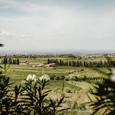 Merumalia Wine Alloggio per agriturismo *