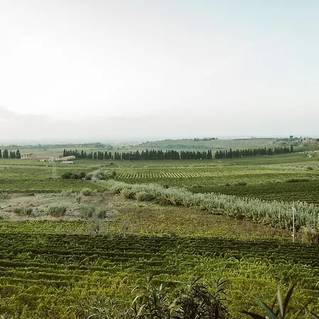 Alloggio per agriturismo Merumalia Wine *