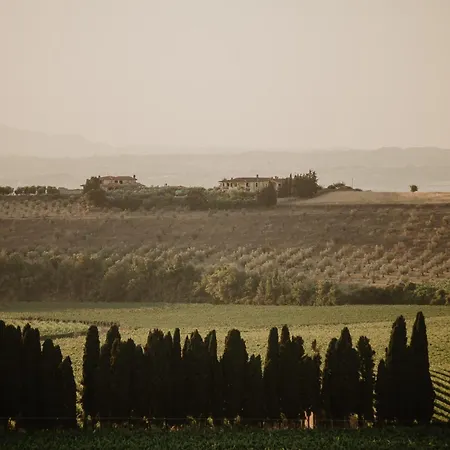 Merumalia Wine Frascati