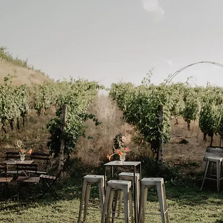 Merumalia Wine Frascati