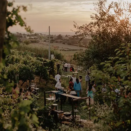 Merumalia Wine