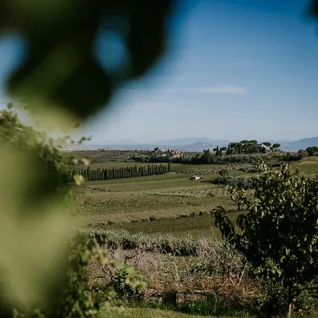 Merumalia Wine Alloggio per agriturismo Frascati