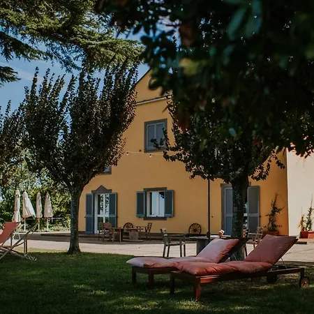 Merumalia Wine * Frascati